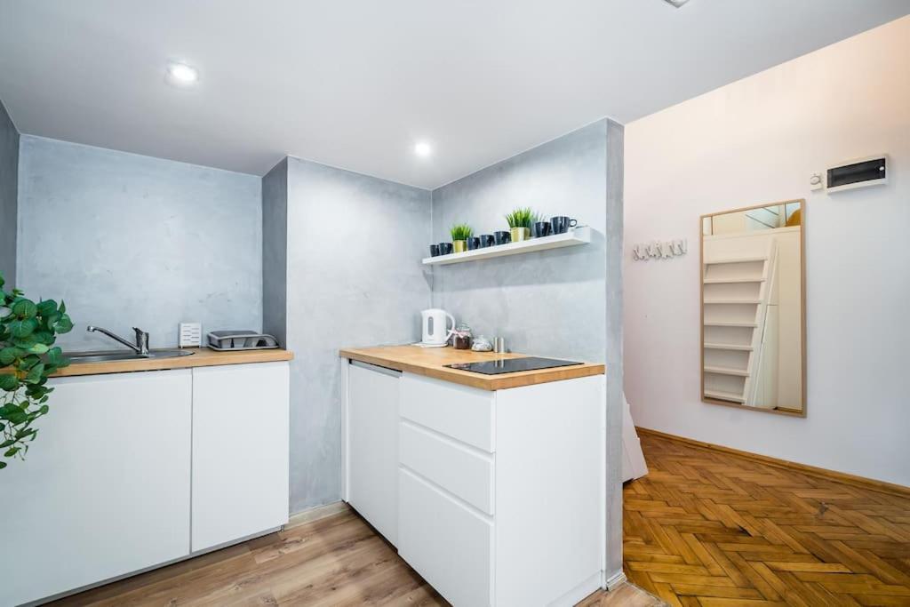 קרקוב Royal City Apartment 40 M2 מראה חיצוני תמונה