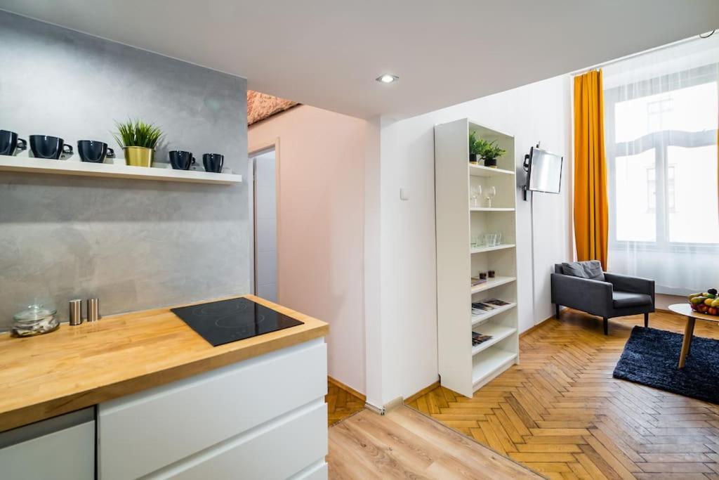 קרקוב Royal City Apartment 40 M2 מראה חיצוני תמונה